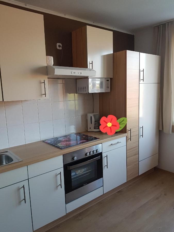 Apartment Graz Murpromenade מראה חיצוני תמונה